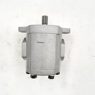 High Performance Hydraulic Gear Pump with 11KW Power 1060lpm Flow Rate and 160kPa-250kPa Pressure