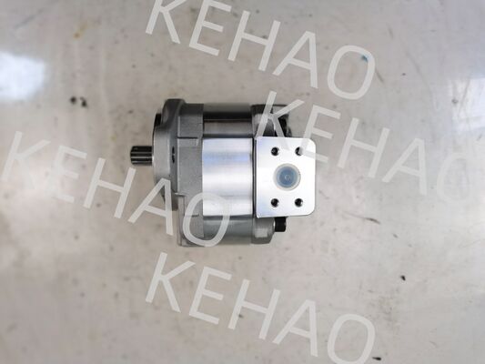 D41シリーズ油圧ギアポンプ（D41-45CC(R)、D41-6E+40-28CCR、D41-400C(R)を含む、1060lpm流量、AISIステンレス鋼、1年保証