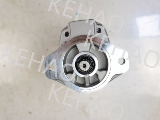 D41シリーズ油圧ギアポンプ（D41-45CC(R)、D41-6E+40-28CCR、D41-400C(R)を含む、1060lpm流量、AISIステンレス鋼、1年保証