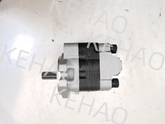 PVSD2-21 水力ギアポンプ 鉄とアルミニウム合金材料 建設機械工場用 供給 水力部品 カスタマイズ