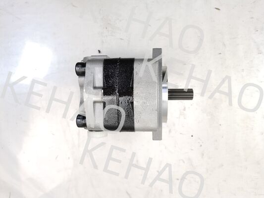 PVSD2-21 水力ギアポンプ 鉄とアルミニウム合金材料 建設機械工場用 供給 水力部品 カスタマイズ