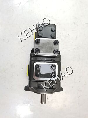 ハイドロリックギアポンプ APG22/APG32シリーズ APG32-025-016-01R-VPU2-3 高圧工業級ギアオールポンプ 重機械用