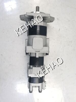工場供給 水力ギアポンプ SAL2-45+SB25+21-13TR 鉄とアルミニウム合金材料 3段階オイル転送ポンプ OEM ODM 1 年間の保証
