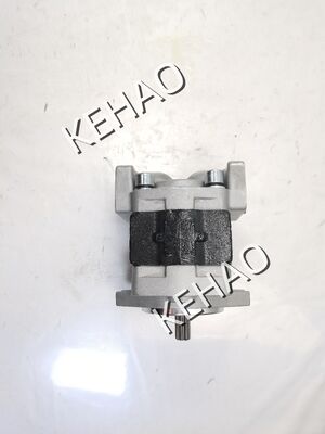液圧ギアポンプ SGP1シリーズ SGP1-25R520 SGP1-30A1H1 SGP1-A36L070合金材料 交換部品 ステアリング装置 1 年間の保証 ギアポンプ