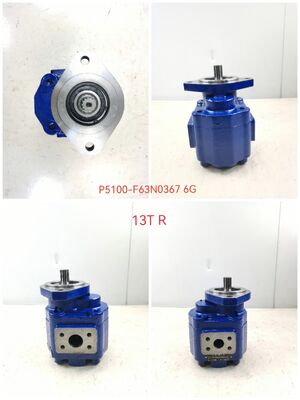 KEHAO 油圧ギアポンプ P5100-F63N03676G 修理用油圧部品 鋳鉄 アルミニウム合金 オイルギアポンプ 掘削機用 ISO9001認証