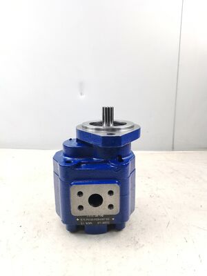 KEHAO 油圧ギアポンプ P5100-F63N03676G 修理用油圧部品 鋳鉄 アルミニウム合金 オイルギアポンプ 掘削機用 ISO9001認証