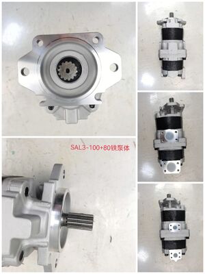 工場供給ギアポンプ 油圧ポンプ 大型ダンプ機械および車両部品番号SAL3-100+80 鉄およびアルミニウム合金 油圧オイルポンプに使用