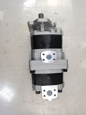 工場供給ギアポンプ 油圧ポンプ 大型ダンプ機械および車両部品番号SAL3-100+80 鉄およびアルミニウム合金 油圧オイルポンプに使用