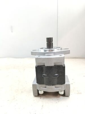 液体ギアポンプ SGP1A36-AF/SGP1A-23/SGP1-25/SGP1-27/SGP1-30/SGP1-32 鋳鉄とアルミニウム合金 工業用油ポンプ 重機械修理 液体部品