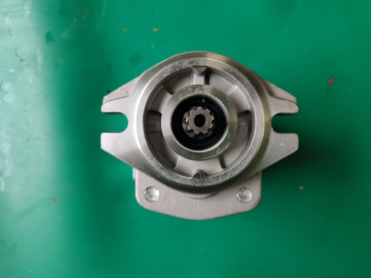 鉄SGP1-F23-ALΦ9Rの歯車ポンプSiverおよび黒い色