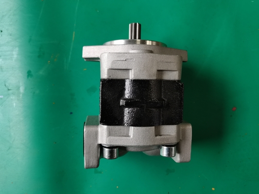 鉄SGP1-F23-ALΦ9Rの歯車ポンプSiverおよび黒い色
