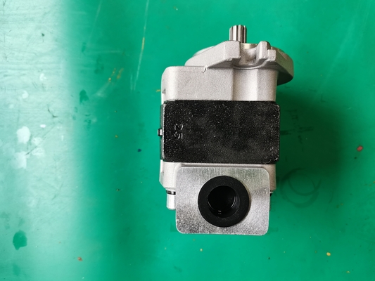 鉄SGP1-F23-ALΦ9Rの歯車ポンプSiverおよび黒い色