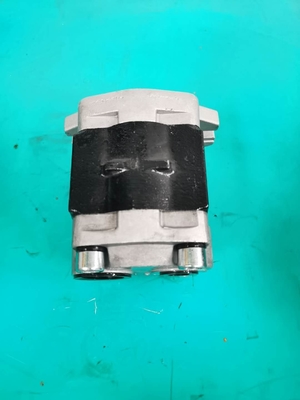 SGP1-F36-ALΦ10L Hの商業水力学の歯車ポンプD50P D50S
